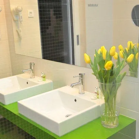 Rimske Terme Hotel Rimske Toplice