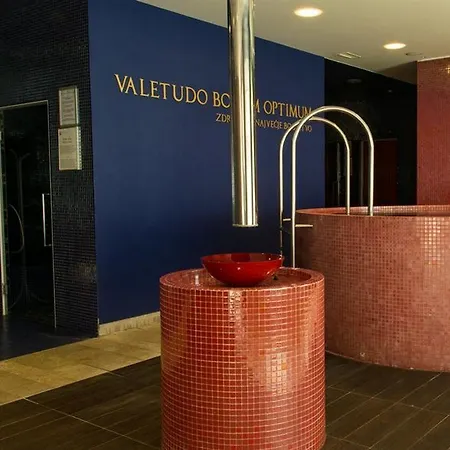 Hotel Rimski Dvor - Rimske Terme Rimske Toplice